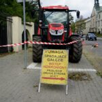 18.09.2019. Kielce. Złamany klon przy ulicy Jana Pawła II / Piotr Kwaśniewski / Radio Kielce