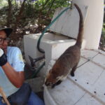 7.09.2019. Meksyk. Jukatan / Balbina Bujak