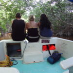 7.09.2019. Meksyk. Jukatan / Balbina Bujak