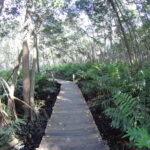 7.09.2019. Meksyk. Jukatan / Balbina Bujak