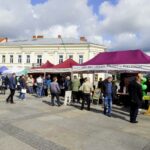 19.09.2019. Kielce. Targi pracy na kieleckim Rynku / Piotr Kwaśniewski / Radio Kielce