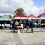 19.09.2019. Kielce. Targi pracy na kieleckim Rynku / Piotr Kwaśniewski / Radio Kielce