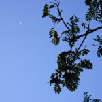 Początek astronomicznej jesieni / Robert Felczak / Radio Kielce