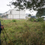 Kielce. Nielegalny wyręb drzew przy ul. Łopuszniańskiej / Robert Szumielewicz / Radio Kielce