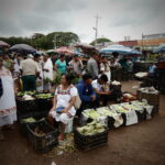 7.09.2019. Meksyk. Jukatan / Balbina Bujak