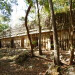 7.09.2019. Meksyk. Jukatan / Balbina Bujak