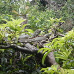 07.09.2019. Meksyk. Chiapas / Balbina Bujak