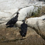 07.09.2019. Meksyk. Chiapas / Balbina Bujak