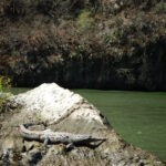 07.09.2019. Meksyk. Chiapas / Balbina Bujak