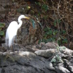 07.09.2019. Meksyk. Chiapas / Balbina Bujak