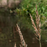 Początek astronomicznej jesieni / Robert Felczak / Radio Kielce