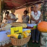 22.09.2019 Staszów. Staszowskie Spotkania z Kulturą Łowiecką / Grażyna Szlęzak-Wójcik / Radio Kielce