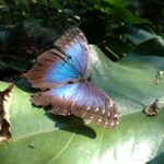 7.09.2019. Meksyk. Jukatan / Balbina Bujak