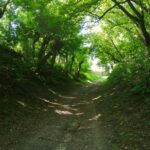 Lessowy wąwóz w Zawichoście na ulicy Głębokiej / Grażyna Szlęzak-Wójcik / Radio Kielce