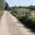 12.09.2019. Sandomierz. Ulica Brzozowa / Grażyna-Szlęzak-Wójcik / Radio Kielce