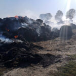 Pożar słomy w Przeuszynie w gminie Ćmielów / Komenda Powiatowa Straży Pożarnej w Ostrowcu Św.