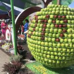 08.09.2019. Obrazów. Europejskie Święto Jabłka / Grażyna-Szlęzak-Wójcik / Radio Kielce