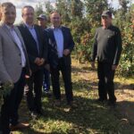 20.09.2019. Rożki, gmina Obrazów. Spotkanie zorganizowane przez posła PiS Marka Kwitka w sadzie jabłkowym. Na zdjęciu, od lewej: Jacek Toś - dyrektor oddziału regionalnego KOWR w Kielcach, Piotr Lipiński - dyrektor oddziału ODR w Sandomierzu, Marek Kwitek - poseł PiS / Grażyna-Szlęzak-Wójcik / Radio Kielce