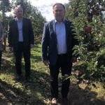 20.09.2019. Rożki, gmina Obrazów. Spotkanie zorganizowane przez posła PiS Marka Kwitka w sadzie jabłkowym. Na zdjęciu, od lewej: Jacek Toś - dyrektor oddziału regionalnego KOWR w Kielcach, Piotr Lipiński - dyrektor oddziału ODR w Sandomierzu, Marek Kwitek - poseł PiS / Grażyna-Szlęzak-Wójcik / Radio Kielce