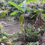 07.09.2019. Meksyk. Chiapas / Balbina Bujak