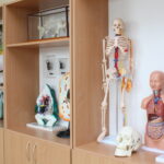 Szkoła Podstawowa numer 2 w Busku-Zdroju po gruntownej modernizacji / Marta Gajda / Radio Kielce