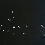 01.09.2019 Cedzyna. Zalew. Regaty / Jarosław Kubalski / Radio Kielce