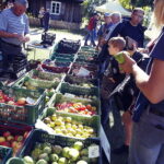 22.09.2019 Tokarnia. Muzeum Wsi Kieleckiej. Impreza "Smaki Jesieni" / Jarosław Kubalski / Radio Kielce