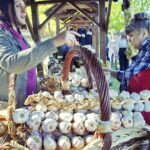 22.09.2019 Tokarnia. Muzeum Wsi Kieleckiej. Impreza "Smaki Jesieni" / Jarosław Kubalski / Radio Kielce
