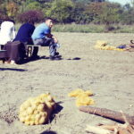 22.09.2019 Tokarnia. Muzeum Wsi Kieleckiej. Impreza "Smaki Jesieni" / Jarosław Kubalski / Radio Kielce