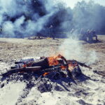 22.09.2019 Tokarnia. Muzeum Wsi Kieleckiej. Impreza "Smaki Jesieni" / Jarosław Kubalski / Radio Kielce