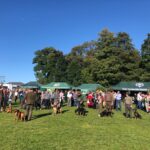 22.09.2019 Staszów. Staszowskie Spotkania z Kulturą Łowiecką. / Grażyna Szlęzak-Wójcik / Radio Kielce