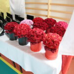 Wojewódzkie rozpoczęcie roku szkolnego / Wiktor Taszłow / Radio Kielce