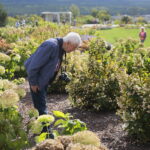 29.09.2019. Kielce. Piknik rodzinny „Skarby Jesieni” w Ogrodzie Botanicznym / Wiktor Taszłow / Radio Kielce