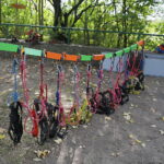 07.09.2019. Kielce. Zjazd tyrolką osób niepełnosprawnych / Wiktor Taszłow / Radio Kielce