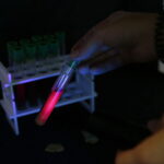 08.09.2019. Podzamcze. Astro Piknik / Wiktor Taszłow / Radio Kielce