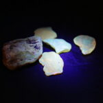 08.09.2019. Podzamcze. Astro Piknik / Wiktor Taszłow / Radio Kielce