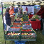 08.09.2019. Tokarnia. Święto Chleba / Wiktor Taszłow / Radio Kielce