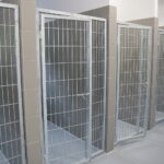 09.09.2019. Remont schroniska dla bezdomnych zwierząt w Dyminach / Wiktor Taszłow / Radio Kielce