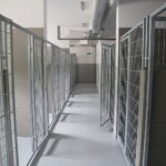 09.09.2019. Remont schroniska dla bezdomnych zwierząt w Dyminach / Wiktor Taszłow / Radio Kielce