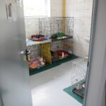 09.09.2019. Remont schroniska dla bezdomnych zwierząt w Dyminach / Wiktor Taszłow / Radio Kielce