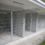 09.09.2019. Remont schroniska dla bezdomnych zwierząt w Dyminach / Wiktor Taszłow / Radio Kielce