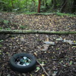 10.09.2019. Kielce. Śmieci w dolinie Silnicy / Wiktor Taszłow / Radio Kielce