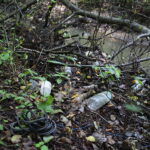 10.09.2019. Kielce. Śmieci w dolinie Silnicy / Wiktor Taszłow / Radio Kielce