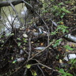 10.09.2019. Kielce. Śmieci w dolinie Silnicy / Wiktor Taszłow / Radio Kielce