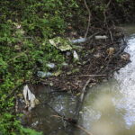 10.09.2019. Kielce. Śmieci w dolinie Silnicy / Wiktor Taszłow / Radio Kielce