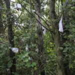 10.09.2019. Kielce. Śmieci w dolinie Silnicy / Wiktor Taszłow / Radio Kielce