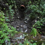 10.09.2019. Kielce. Śmieci w dolinie Silnicy / Wiktor Taszłow / Radio Kielce