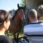 15.09.2019. Chmielnik. Jarmark koński i festiwal pierogowy / Wiktor Taszłow / Radio Kielce