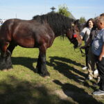15.09.2019. Chmielnik. Jarmark koński i festiwal pierogowy / Wiktor Taszłow / Radio Kielce