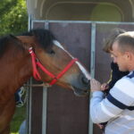 15.09.2019. Chmielnik. Jarmark koński i festiwal pierogowy / Wiktor Taszłow / Radio Kielce